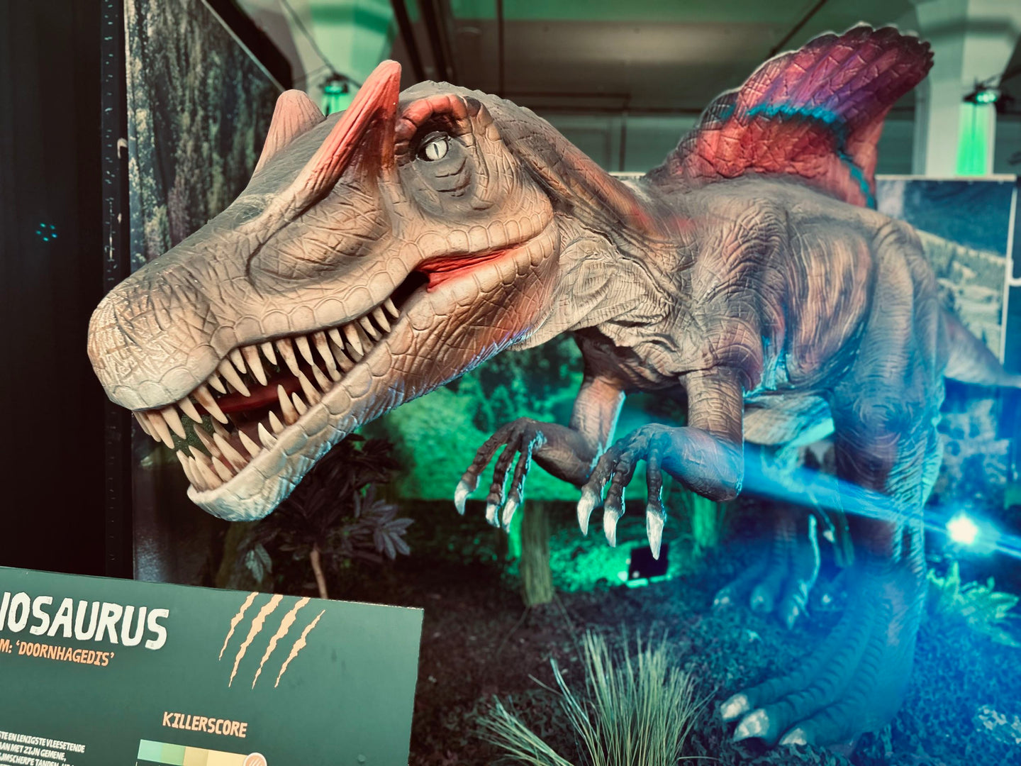 World of Dinos - afbeelding 6