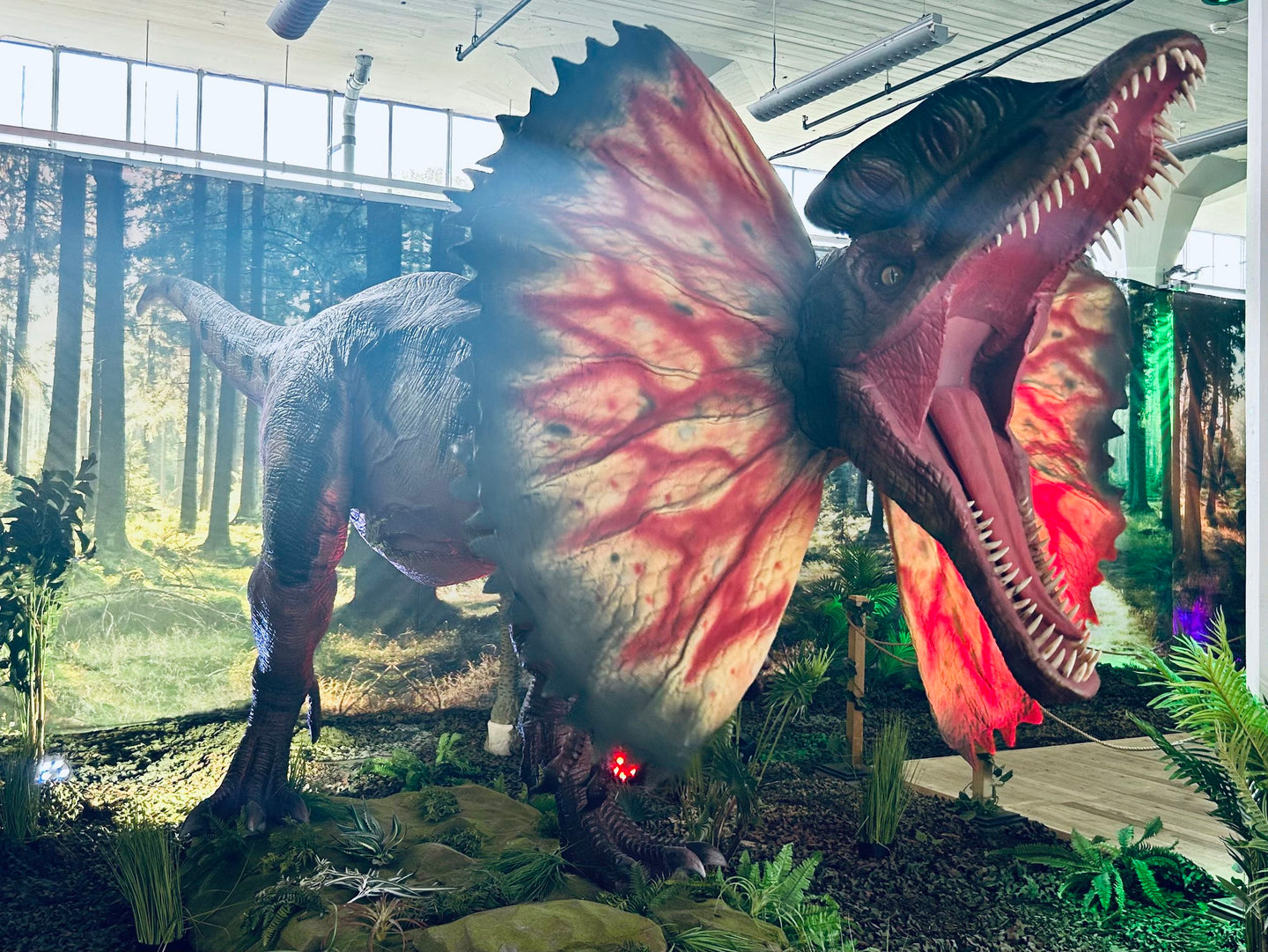 World of Dinos - afbeelding 5