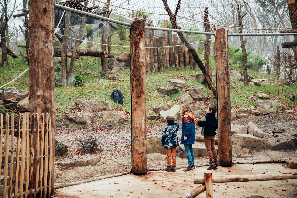 DierenPark Amersfoort - afbeelding 7
