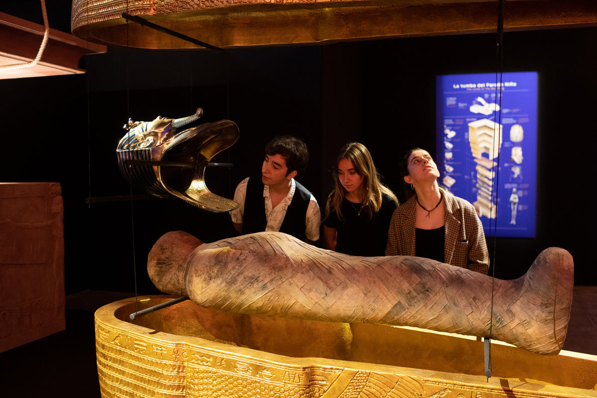 Tutankhamun — The Immersive Exhibition   - afbeelding 2